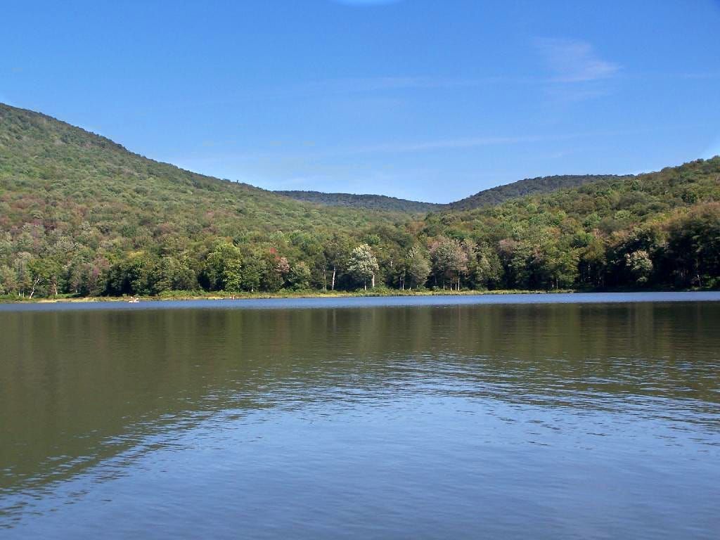 Alder Lake