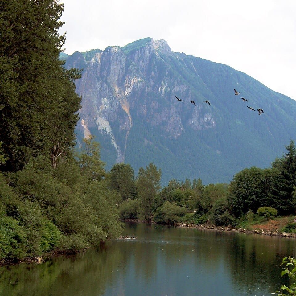 Snoqualmie Mill Pond