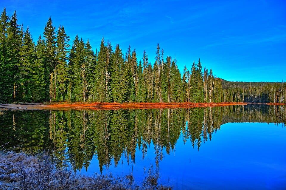 Scott Lake