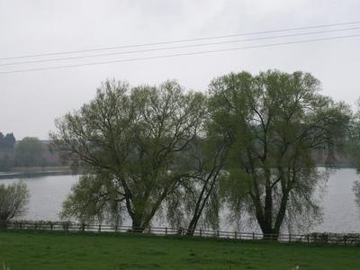 Durleigh Reservoir