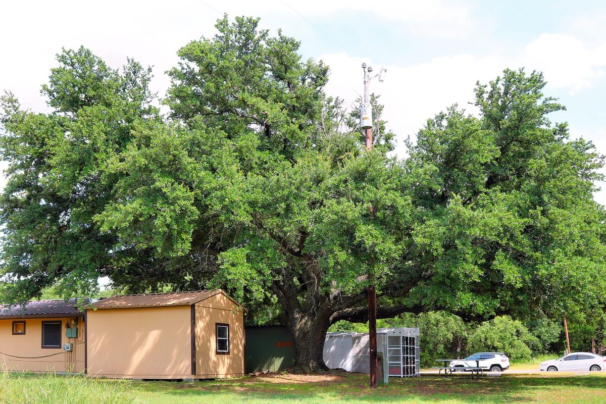 Lake Whitney State Park