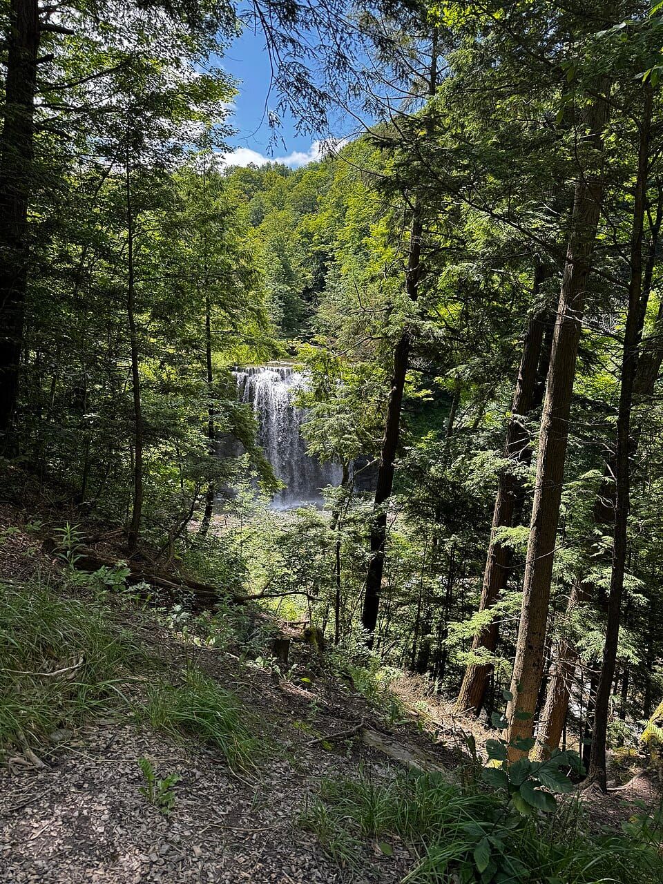 Delphi Falls