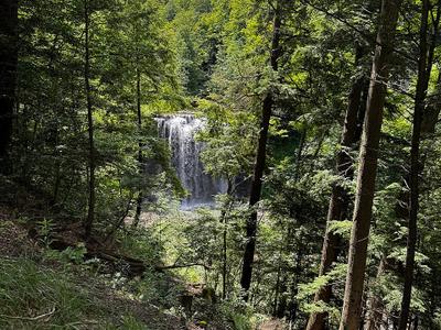 Delphi Falls