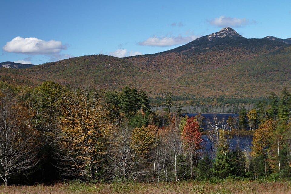 The Island (Chocorua Lake Conservancy)
