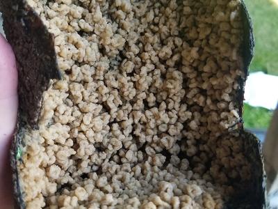 Siseebakwet Lake
