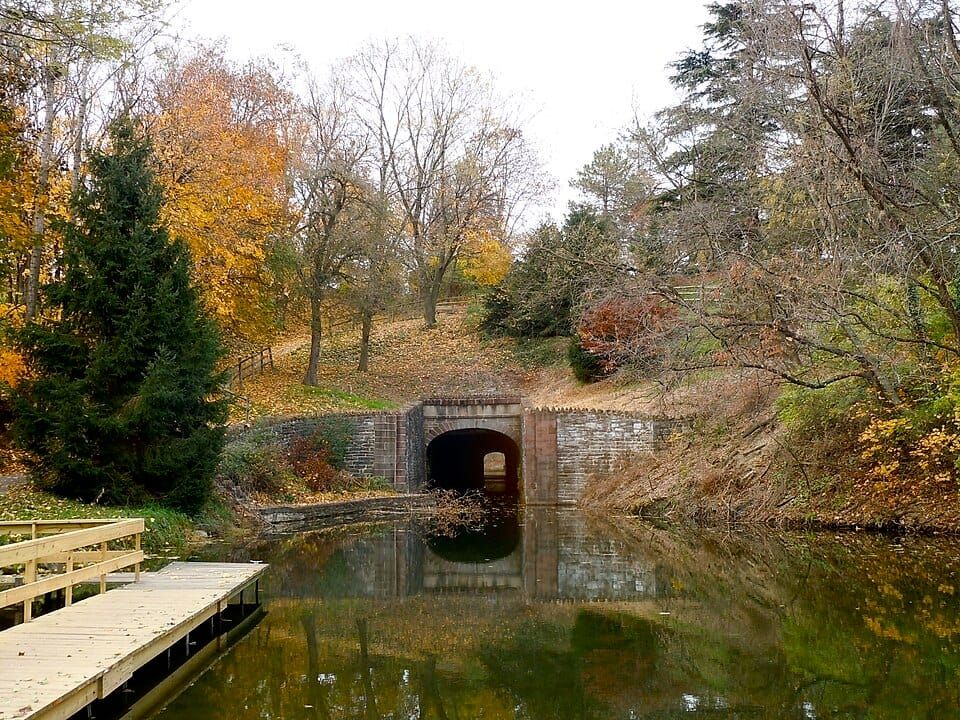 Lion's Lake Park