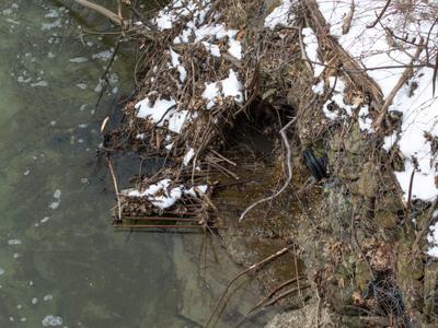 Euclid Creek Reservation