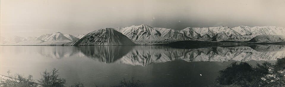 Lake Heron