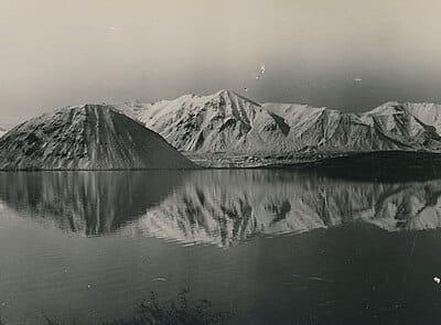 Lake Heron