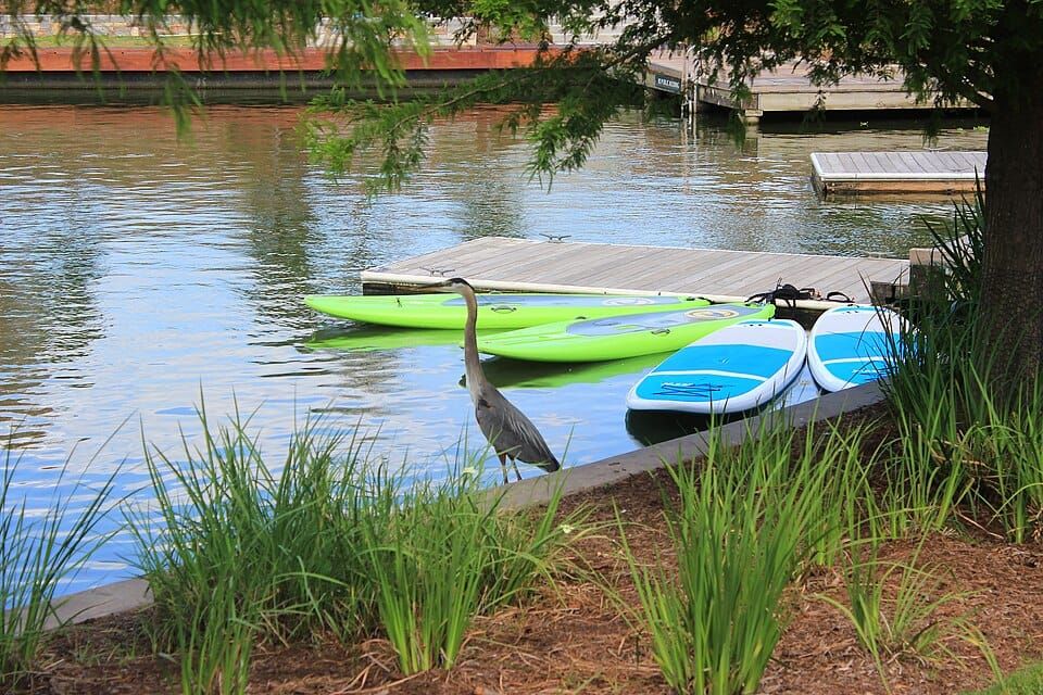 Lake Woodlands