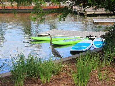 Lake Woodlands