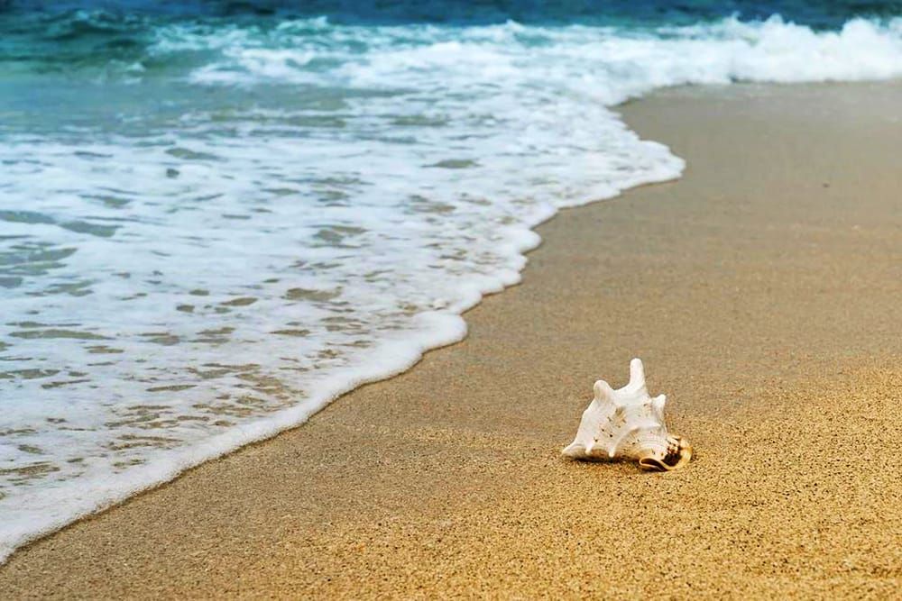 Boneyard Beach