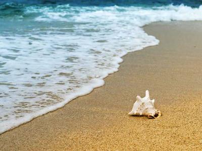 Boneyard Beach
