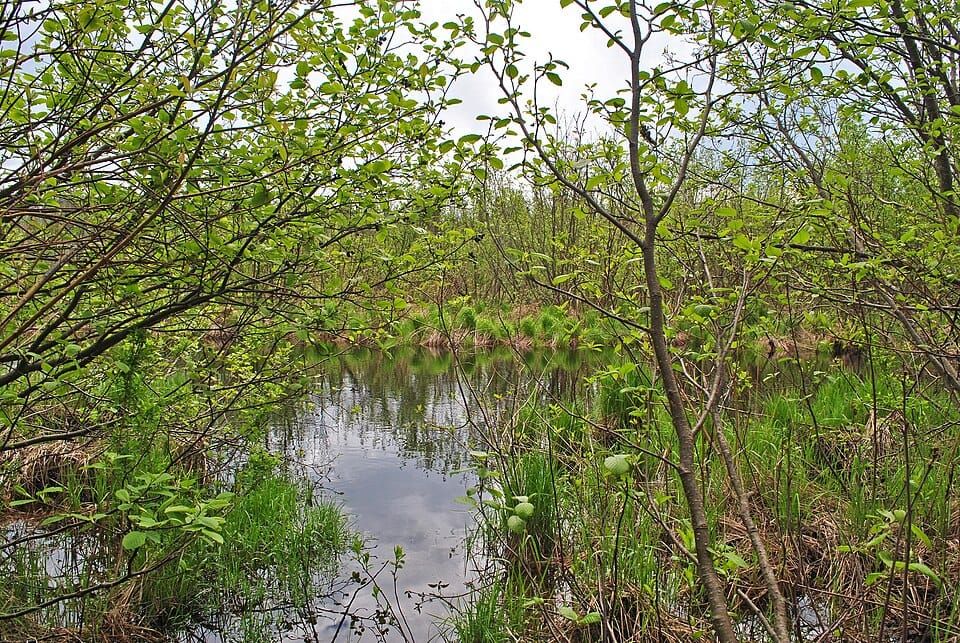 Bois Brule River