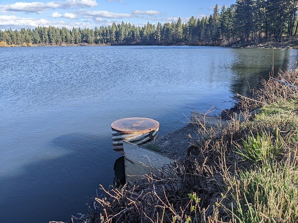 Morgan Lake