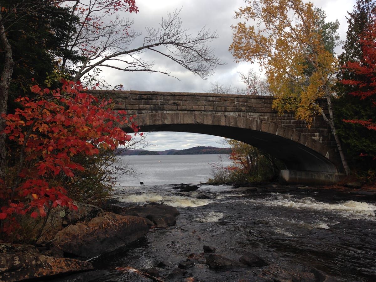 Bog River