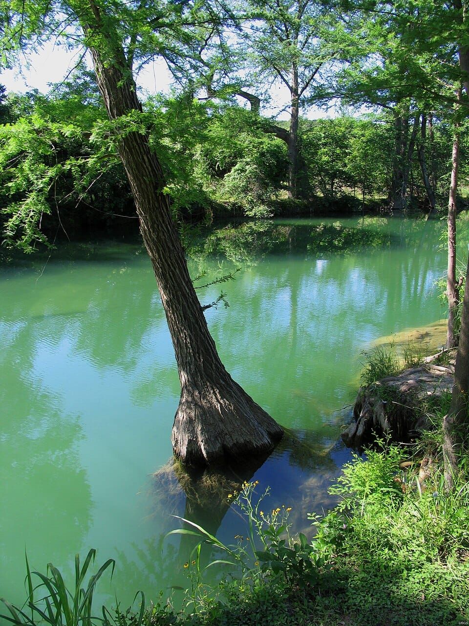 Medina River