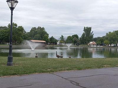 Coan Lake
