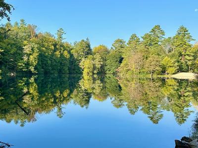 Fuller Lake Day Use Area