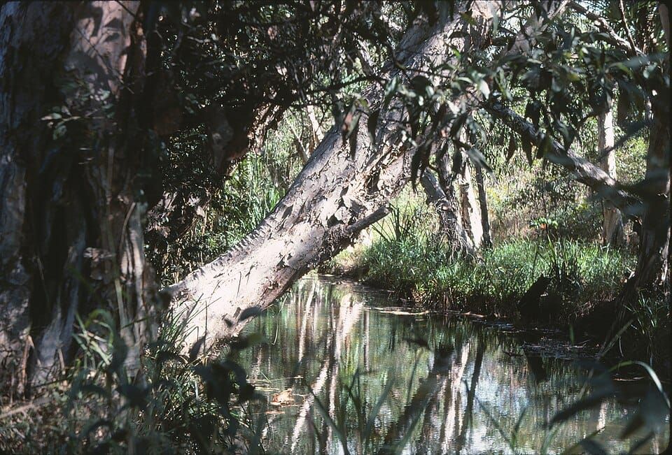 Crystal Creek