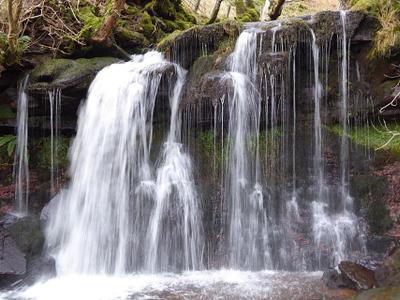 Molly's Waterfall