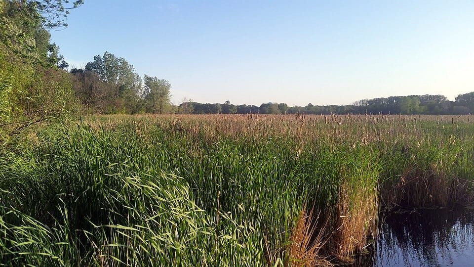Richfield Lake