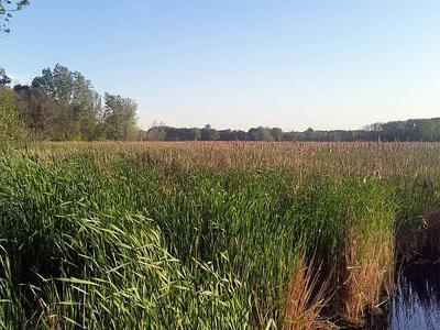Richfield Lake