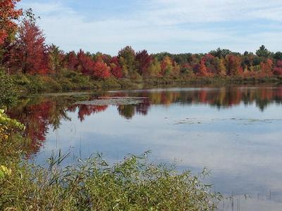 Woodland Lake