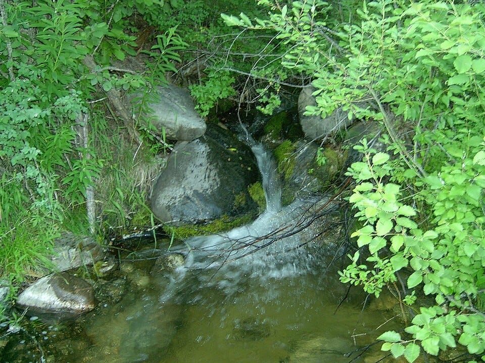 Sherman Lake