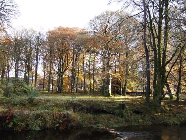 Jackson's Falls