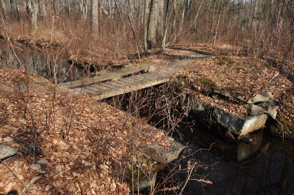 Weston Pond
