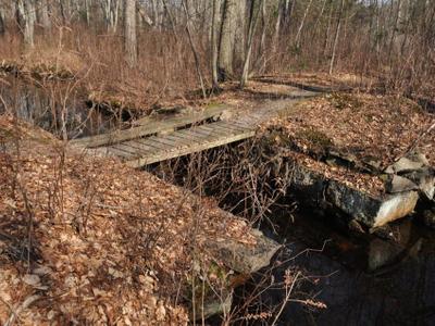 Weston Pond