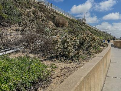 Carlsbad State Beach