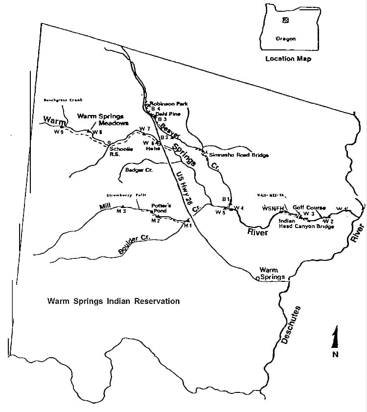 Warm Springs River