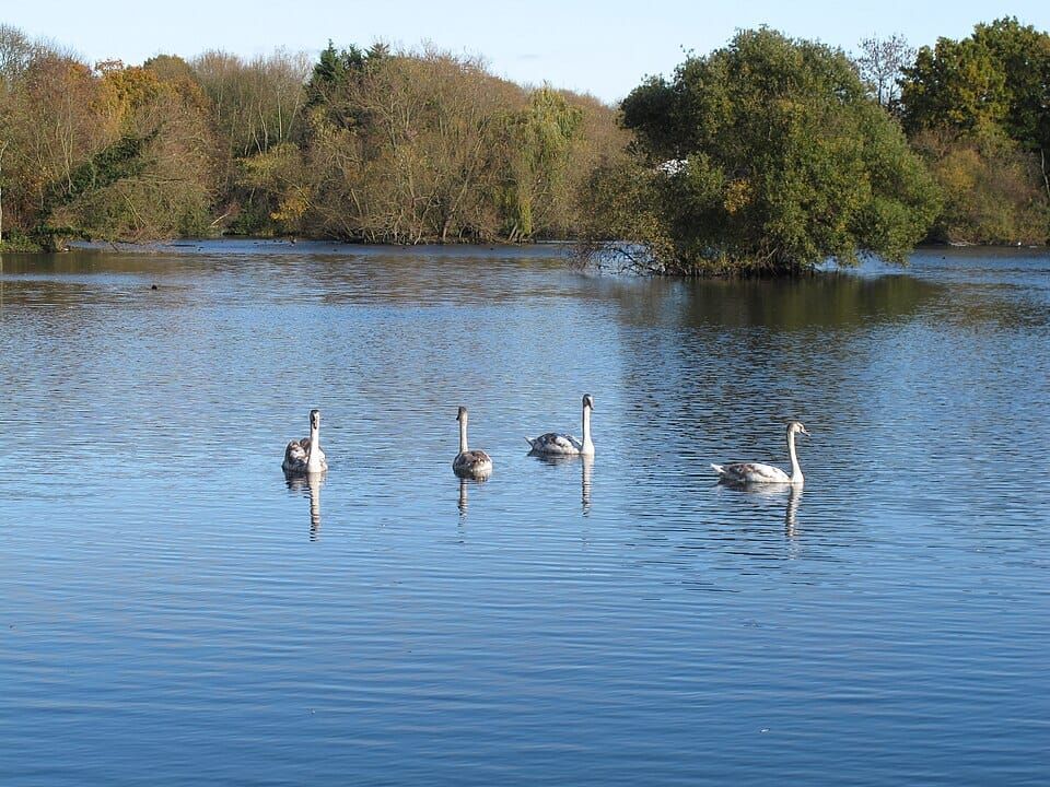 Little lake