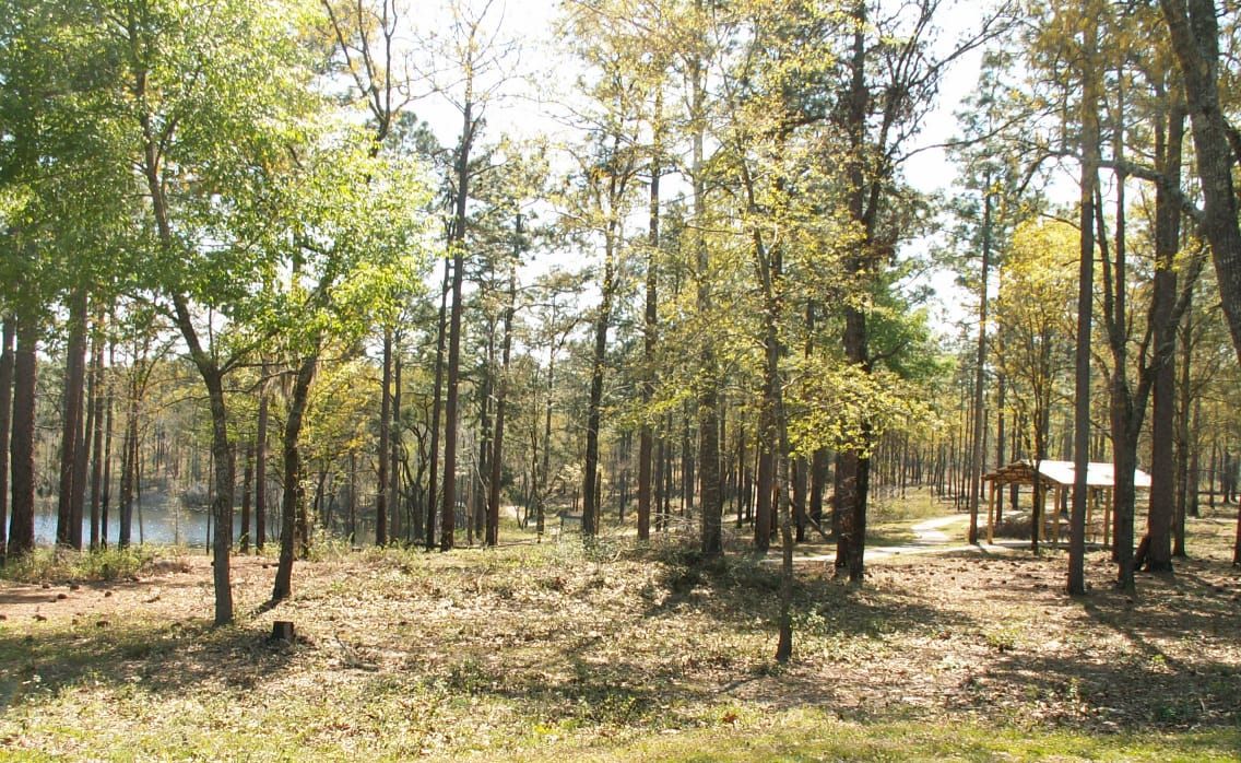 Trout Pond Recreation Area