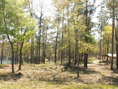 Trout Pond Recreation Area