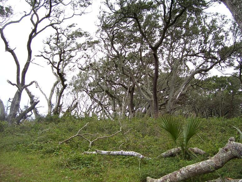 Little Talbot Island State Park