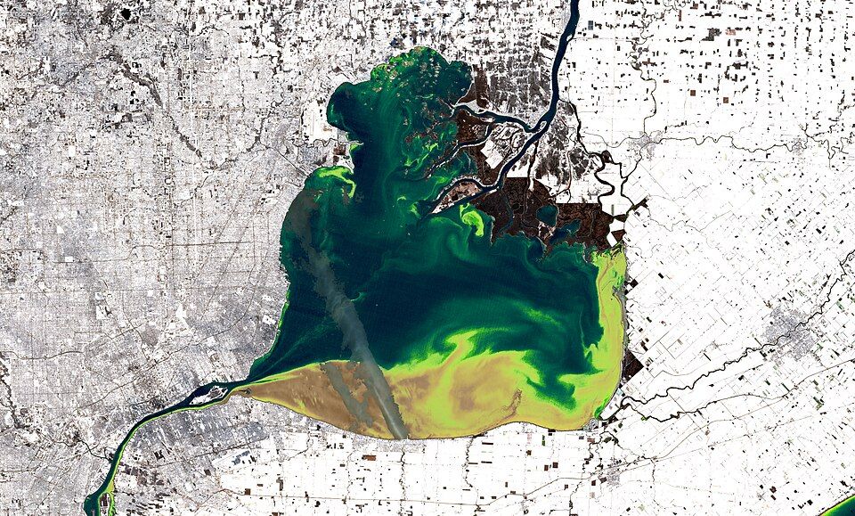 Lake St Clair