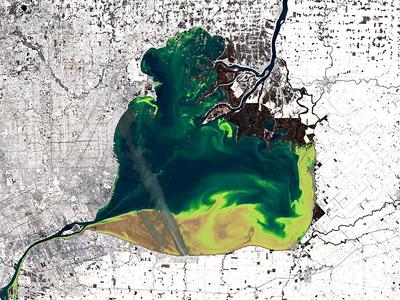 Lake St Clair