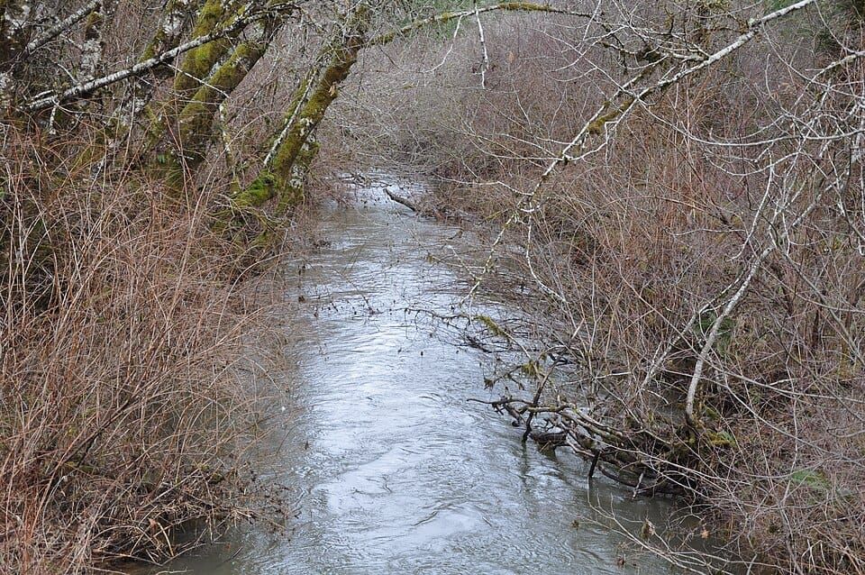 South Yamhill River