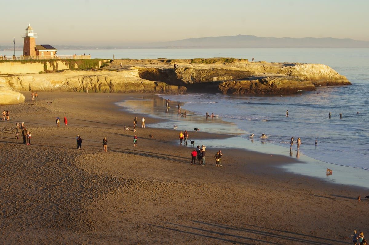 Mitchell's Cove Beach