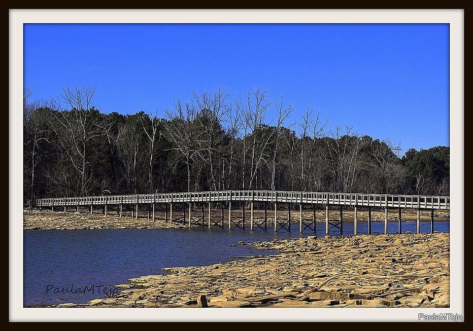 Party Cove - J. Percy Priest Lake