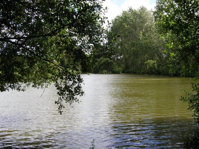 Hale Lake
