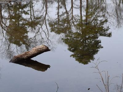 Lake Waterford Park