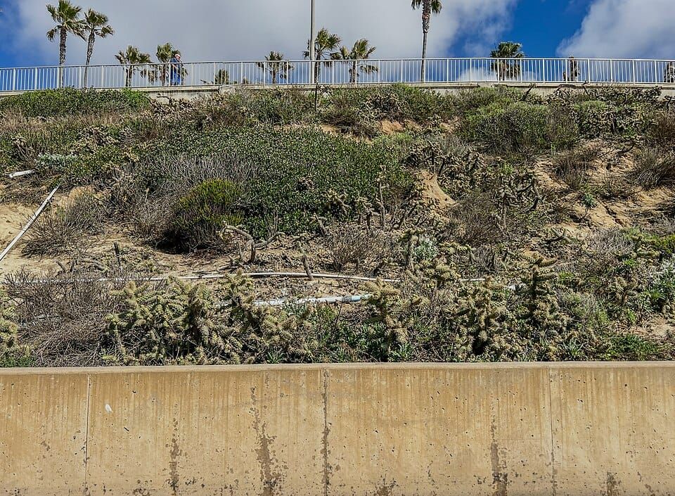 Carlsbad Village Beach