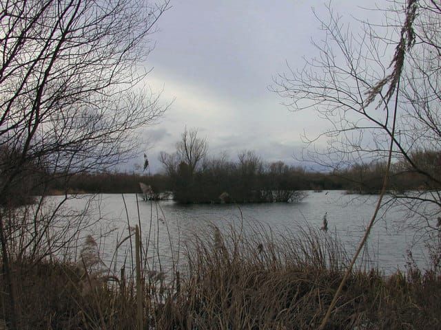 Dickerson Lake