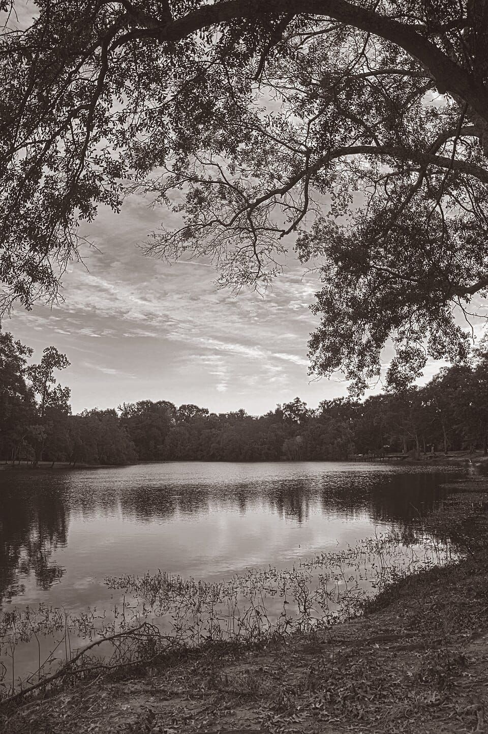LeFleur's Bluff State Park Mayes Lake