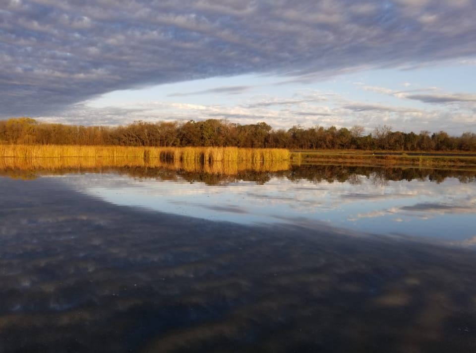 Simmons Pond