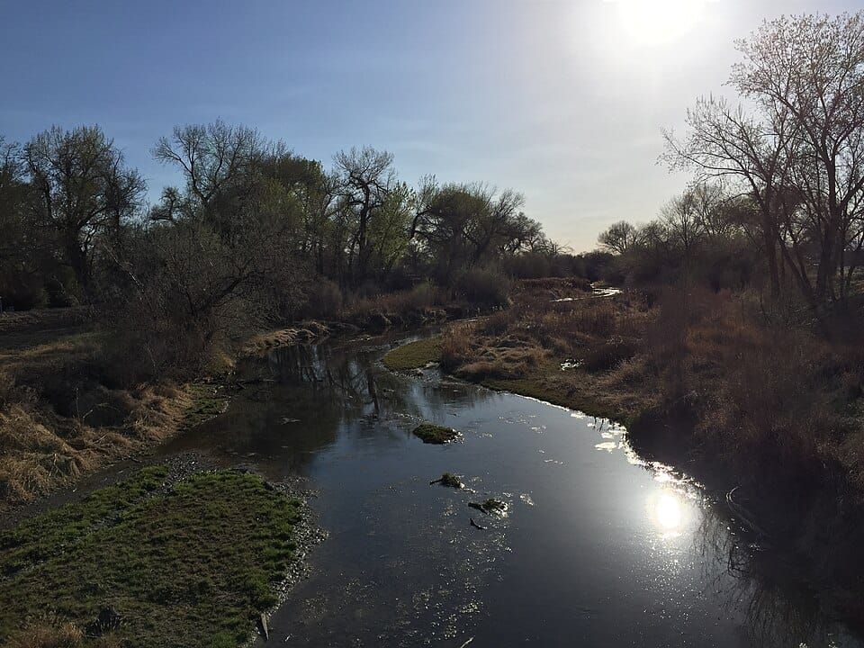 Carson River